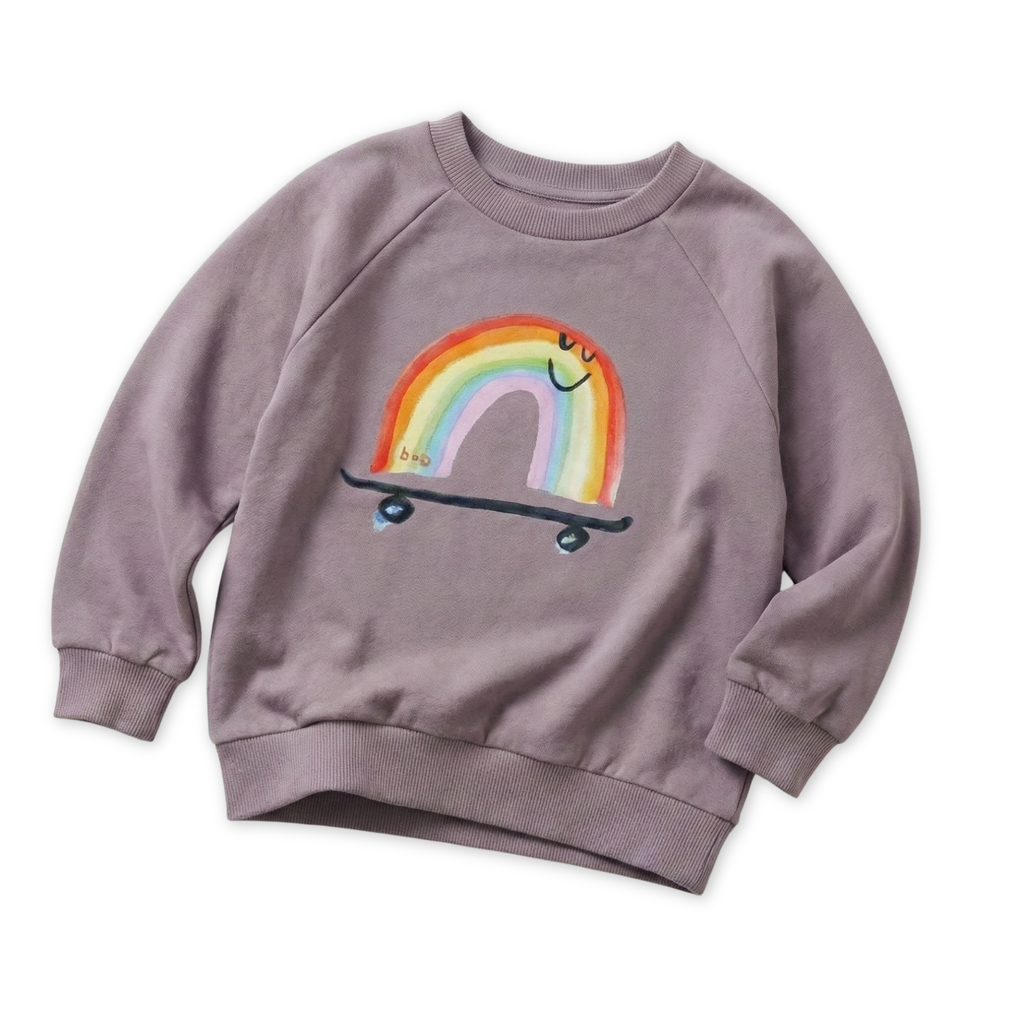 Rainbow Skateboard Organic Cotton Sweatshirt